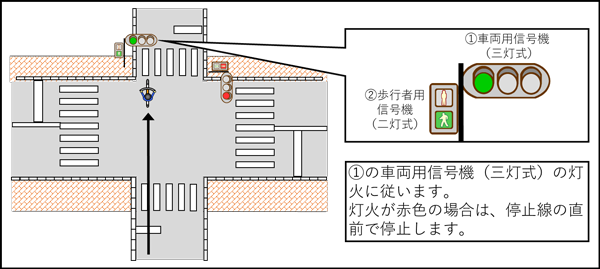 「歩行者用信号機(二灯式)に「歩行者・自転車専用」の標示がない場合」の画像