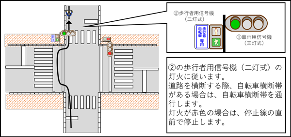 「歩行者用信号機(二灯式)に「歩行者・自転車専用」の標示がある場合」の画像